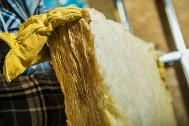 Best Cellulose Insulation in Andrews, TX